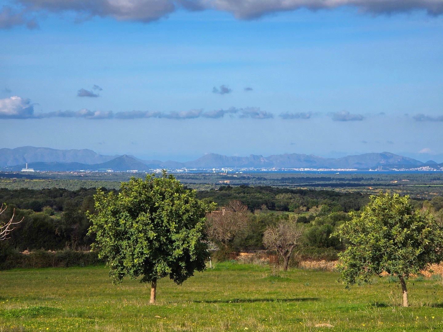 MANACOR / ARTÀ: Top-Baugrundstück mit genehmigtem Projekt für eine moderne, eingeschossige Finca — Manacor