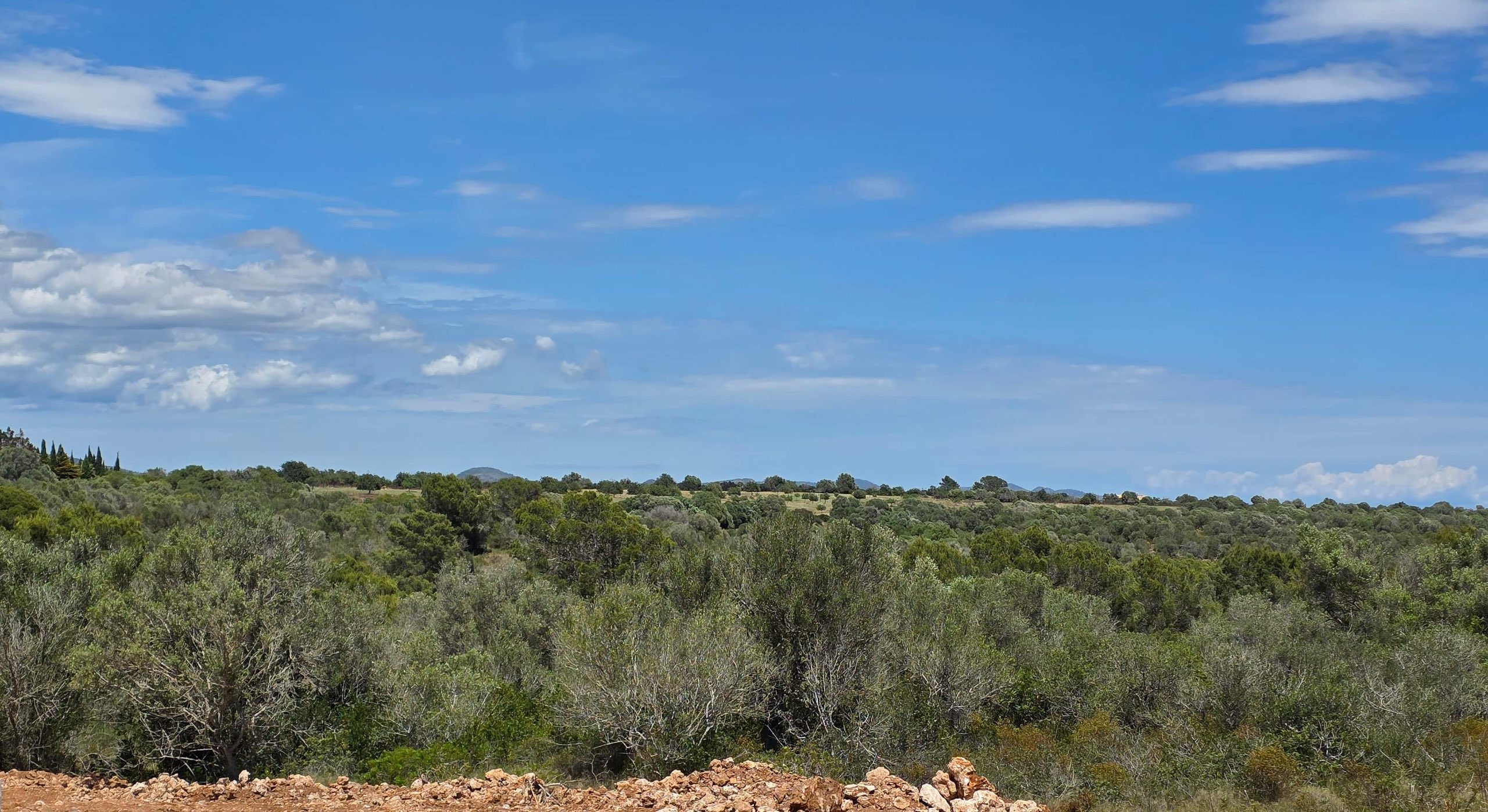 PORTO CRISTO: Hochwertige Natursteinfinca im Bau mit Panorama- und Meerblick, Pool und Garten — Porto Cristo
